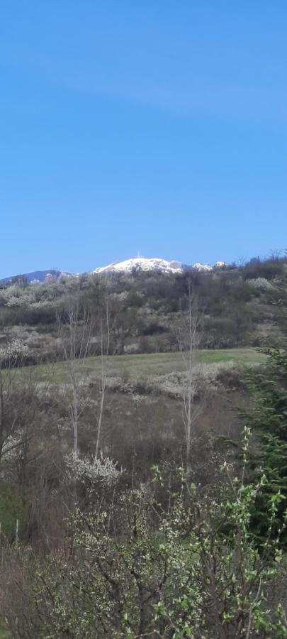 הוילה Călimăneşti View Cozia מראה חיצוני תמונה
